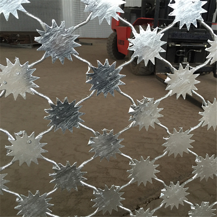 梅花刺隔離網(wǎng)安裝案例展示圖片3 梅花刺隔離網(wǎng)安裝案例展示圖片3