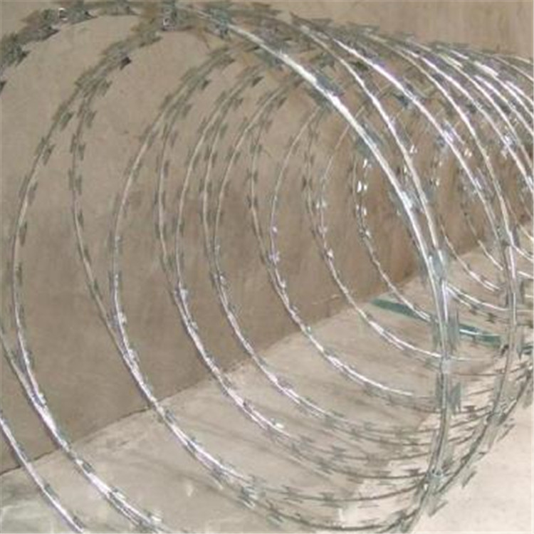 刀刺網BTO-22案例展示圖片2