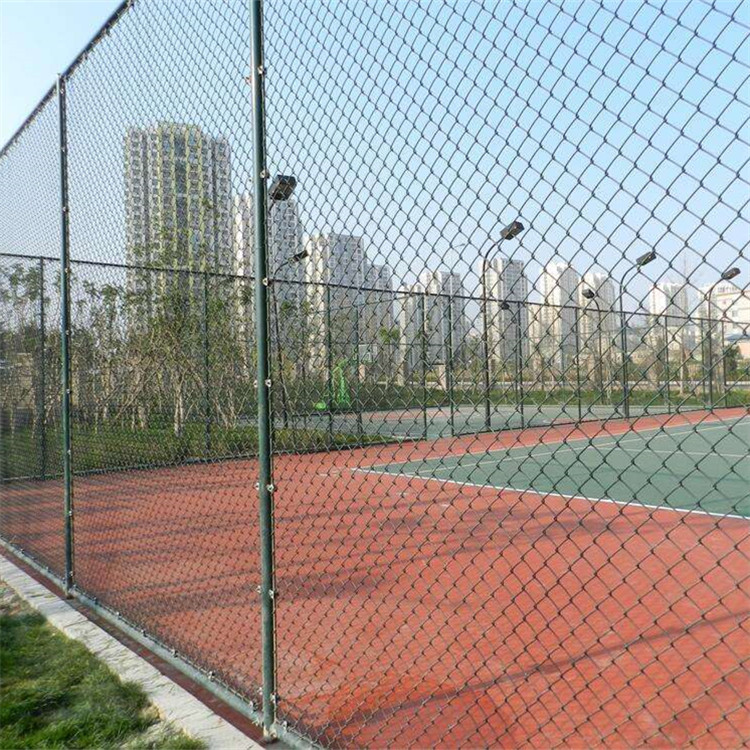 球場(chǎng)圍網(wǎng)案例展示圖片2 球場(chǎng)圍網(wǎng)案例展示圖片2
