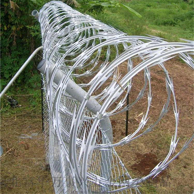 刀片刺網案例展示圖片2 刀片刺網案例展示圖片2